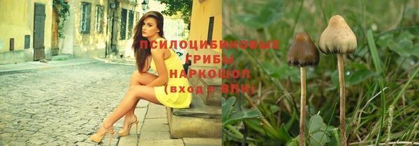стаф Алексеевка