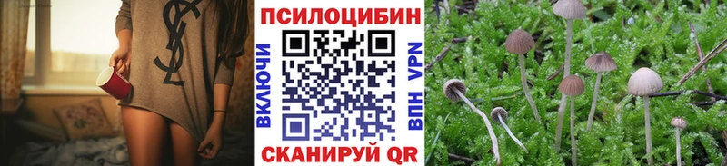 Псилоцибиновые грибы мухоморы  закладка  Зеленоградск 